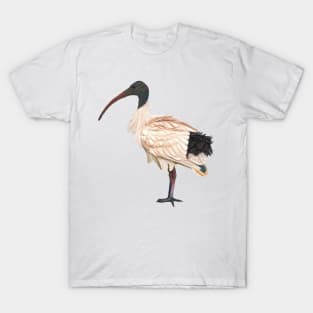 Bin Chook otherwise known as the White Australian Ibis. Unique/original artwork T-Shirt